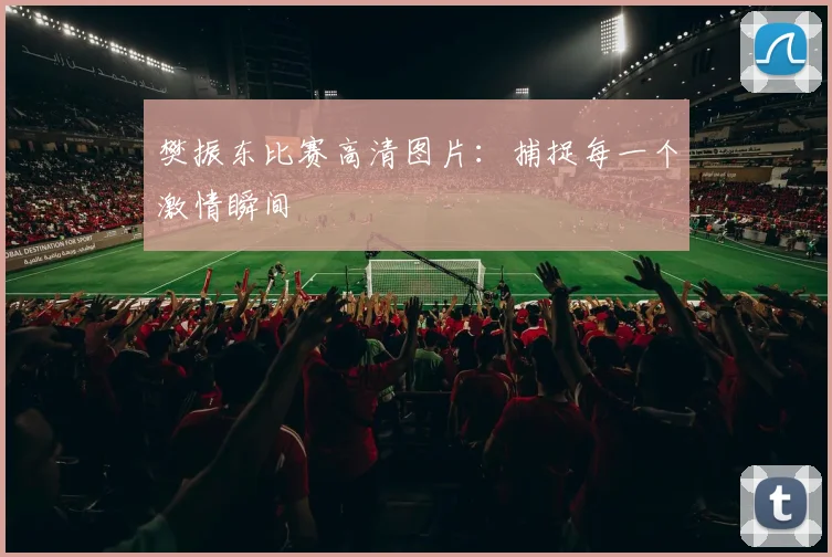 樊振东比赛高清图片：捕捉每一个激情瞬间