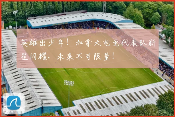 英雄出少年！加拿大电竞代表队新星闪耀，未来不可限量！