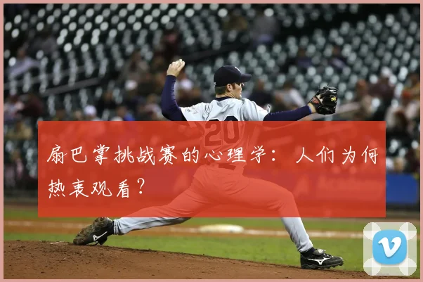 扇巴掌挑战赛的心理学：人们为何热衷观看？